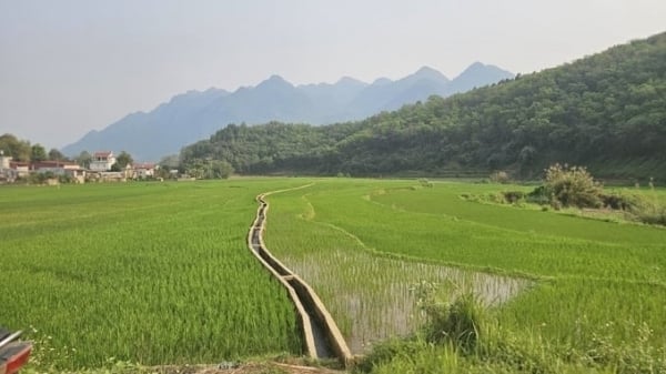 Irrigation – 'lifeline' keeps fields alive